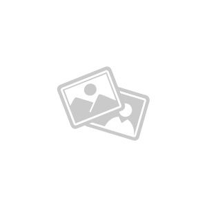 DL Envelopes